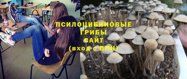 ГАЛЛЮЦИНОГЕННЫЕ ГРИБЫ Зерноград