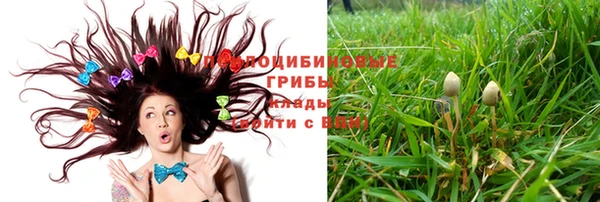 ГАЛЛЮЦИНОГЕННЫЕ ГРИБЫ Зерноград