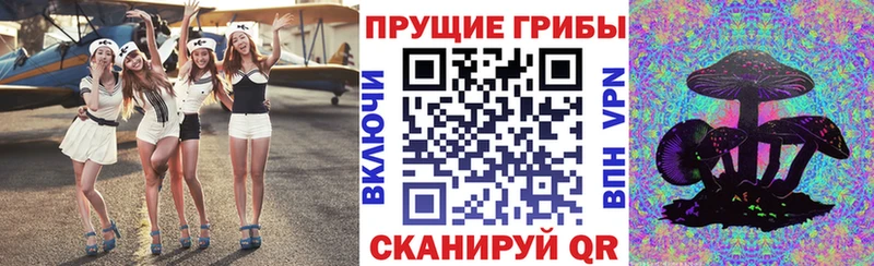 Псилоцибиновые грибы MAGIC MUSHROOMS Киренск