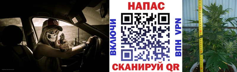 Каннабис MAZAR  Купить закладки  Киренск 